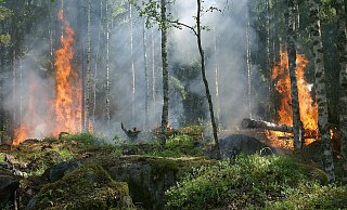 Grillplätze in Bielefeld gesperrt. - Symbolfoto