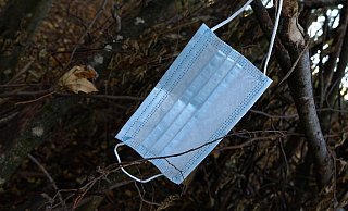 "Wenn dazu aufgerufen wird, zum Beispiel auf Masken zu verzichten, könnte das aus meiner Sicht strafbar sein", sagt Polizeisprecher Uwe Maser. - Pixabay (Symbolbild)