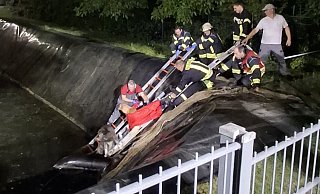 Die Feuerwehr Espelkamp musste zwei Hunde aus dem Wasser retten. - Feuerwehr Espelkamp