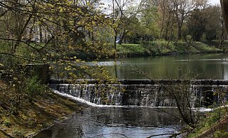 Auf der Flucht vor der Polizei rannte der 24-Jährige durch eine Böschung und landete nahe der Stauteiche in der Lutter. Gebracht hat ihm die nasse Flucht wenig. - Symbolfoto: Andreas Schäfferling