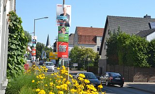 An der Klinkstraße in Bünde reihen sich die Plakate der Parteien und Kandidaten an den Laternenmasten. - Katharina Eisele
