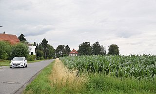 Auf der Fläche rechts des Sieler Wegs - hier wächst zurzeit Mais - möchte die Stadt ein neues Wohngebiet entwickelm. - Mareike Patock