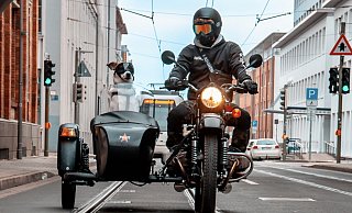 Toni lässt sich im Beiwagen von Herrchens Motorrad den Wind um die Nase wehen. Die Brille, die seine Augen schützt, akzeptiert er klaglos. - Peter Unger
