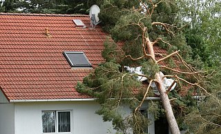 Nach einem Sturm sollte ein stark beschädigtes Wohngebäude erst nach Freigabe durch Fachleute wieder betreten werden - Hendrik Schmidt/dpa/dpa-tmn