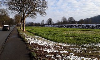 Die Fläche, um die es bei dem PV-Freiflächen-Antrag geht, an der Bundesstraße 7 kurz vor dem Ortseingang Scherfede. - Simone Flörke