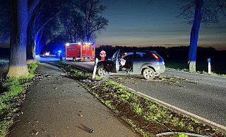 Der junge Autofahrer prallt nach dem Ausweichmanöver mit seinem Fiesta gegen einen Baum. - Thorsten Heß