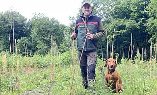 Ralf Seipp mit seinem Hund Fiete im Wald in Rödinghausen. Er leitet den Forstbetriebsbezirk Herford und betreut als Förster unter anderem circa 750 Hektar Waldflächen in Rödinghausen und Bünde. Die Aufforstung und die regelmäige Kontrolle der neuen Flächen macht aktuelle einen Großteil seiner Arbeit aus. - Natalie Gottwald Ralf Seipp mit seinem Hund Fiete im Wald in Rödinghausen. Er leitet den Forstbetriebsbezirk Herford und betreut als Förster unter anderem circa 750 Hektar Waldflächen in Rödinghausen und Bünde. Die Aufforstung und die regelmäige Kontrolle der neuen Flächen macht aktuelle einen Großteil seiner Arbeit aus. - Natalie Gottwald