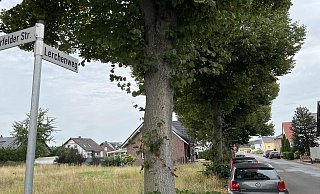 Im Lerchenweg in Gehlenbeck sind am Sonntag, 7. September, Schüsse auf ein Wohnhaus gefallen. Anwohner und Sportler äußern sich nach dem Vorfall. - Amelie Halstenberg