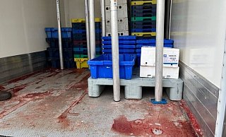 Fischtransport - Bielefeld