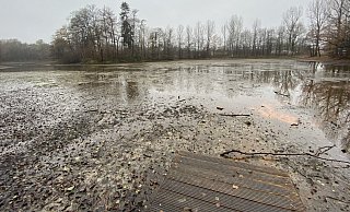 Durch die lang anhaltenden Trockenperioden sind die zwei Brunnen nicht in der Lage, die Wasserverluste der Teiche zu kompensieren. - Mareike Gröneweg