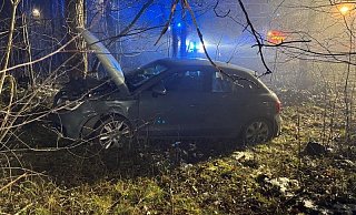 Der Audi A1 landete in einem Waldstück am Senner Hellweg in Bielefeld. - Paul Brinkmann