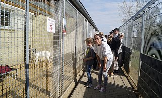 Peggy Lehmann und Sohn Paul interessieren sich für Attila - dem wurde aber der Trubel zu viel und er zog sich zurück. - Kerstin Tirre