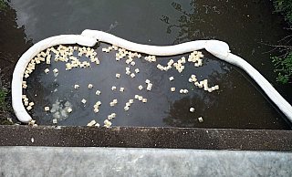 Das Foto zeigt eine der eingerichteten Ölsperren auf dem Gewässer. Kleine Spezialwürfel nehmen das schwimmende Öl auf und binden es. - FW Warburg