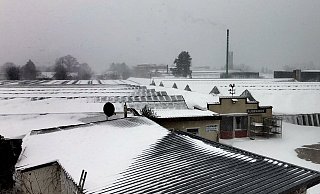 An den Gewächshäusern der Gärtnerei Schwagmeier sind hunderte Glascheiben unter der Schneelast zerbrochen. - privat