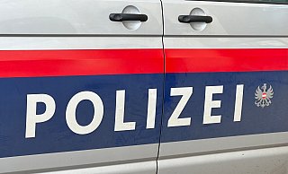 Beim Publuc Viewing soll es in Wien zu einer Vergewaltigung gekommen sein - Matthias Röder/dpa