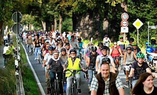 Am 21. September 2019 machten sich 2.000 Menschen per Fahrrad auf den Weg, um gegen den vierspurigen Ausbau der B61 zwischen Gütersloh und Bielefeld zu protestieren. 480 Linden hätten dafür fallen sollen. Die Pläne sind zunächst vom Tisch. - Andreas Frücht