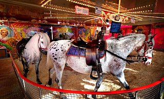 Angebote wie dieses Ponykarussell auf der Pfingstkirmes in Gütersloh stehen immer wieder in der Kritik. - Andreas Frücht