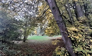Eine Oase ist die Diemelaue in Warburg. - Simone Flörke