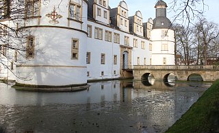Der Wasserstand und die Pflege der Gräfte des Neuhäuser Schlosses beschäftigt die Lokalpolitik und die Verwaltung. Das Wassergeflügel aber fühlt sich dort wohl. - Anna-Lena Hinder