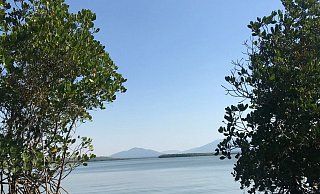 Blick von der Insel Worthington Island aufs Wasser. - Foto: Privat/Craig Beckey/dpa