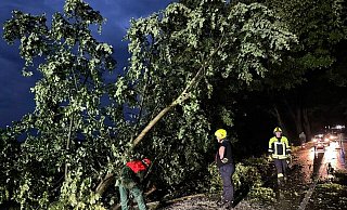 Bei dem Unwetter stürzten auch zahlreiche Bäume um. Feuerwehr und THW mussten die Straßen befreien. - Feuerwehr Herford Bei dem Unwetter stürzten auch zahlreiche Bäume um. Feuerwehr und THW mussten die Straßen befreien. - Feuerwehr Herford