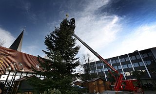 Weihnachtsbaum für Bünde - www.gerald-dunkel.de