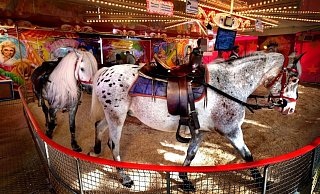 Wie die Fachverwaltung informiert, besitzen alle im Kreis ansässigen Betreiber von Ponykarussells eine Erlaubnis nach Tierschutzgesetz. - Andreas Frücht