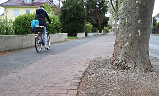 Der Radweg an der Benhauser Straße ist nicht nur sehr holprig, sondern auch zu schmal, wenn Gegenverkehr naht. Ein Fall für die App RADar. - Holger Kosbab