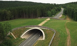 Die Tiere, die die Wildbrücke am Stellberg bei Bad Driburg nutzen, sollen jetzt durch ein neues System überwacht werden. - Oliver Sielhorst