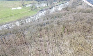 Spatzenberg nach der Abholzung: Die Stadt hat etliche von Rußrindenpilz befallene Bäume gefällt. Von oben sieht die Fällaktion besonders krass aus. - Wolfhard Jording