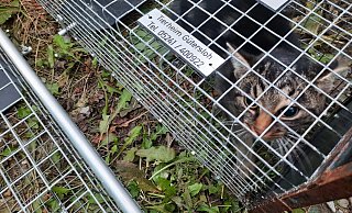 Das Tierheim ist nach wie vor wegen der Corona-Pandemie geschlossen. - Gütersloher Tierheim