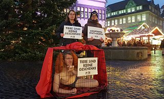 Jens Vogt von Peta lässt für den Tierschutz die Hüllen fallen. Die Schwestern Melanie (l.) und Nicole Schmidtmeier unterstützen ihn spontan. - David Knapp