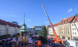 Schon seit Ende Oktober stehen die ersten Buden auf dem Alten Markt vor dem Magdeburger Rathaus. (Archivbild) - Klaus-Dietmar Gabbert/dpa