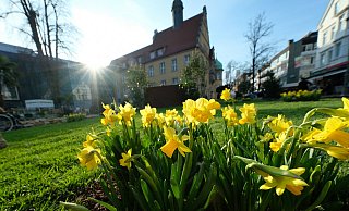 Der Gütersloher Frühling besticht Jahr für Jahr durch seinen Farbenreichtum. - Andreas Frücht