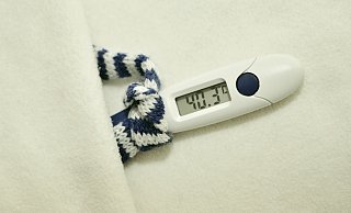 Von einer Influenza-Welle kann derzeit im Kreis Höxter nicht gesprochen werden. - (Symbolbild) Pixabay