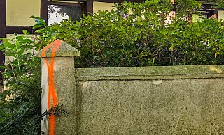 An unterschiedlichen Stellen in Enger-Besenkamp wurden Mauern, Straßen und auch Bäume mit oranger Farbe beschmiert. Die Polizei im Kreis Herford ermittelt. - Kathrin Weege