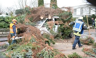 Eine große Tanne begrub einen Transporter unter sich. - Andreas Eickhoff