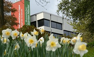 Erlebt der Hochschulstandort in Höxter doch noch einen zweiten Frühling? - Thomas Kube Erlebt der Hochschulstandort in Höxter doch noch einen zweiten Frühling? - Thomas Kube