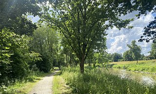 Der Weg im Werreauenpark muss erneuert werden. - Dirk Windmöller