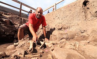 Höxters Stadtarchäologe Ralf Mahytka legt Rinderknochen im Keller eines 1265 verschütteten Hauses frei. Steine aus der Grabung gibt es gegen eine Spende. - Archiv-Foto: David Schellenberg