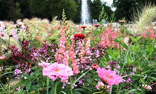 In Bad Lippspringe war die Gartenschau auch im Jahr 2019 ein Anziehungspunkt für Besucher. - Gartenschau Bad Lippspringe