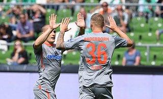Paderborns Felix Platte (r) jubelt über sein Tor zum 1:0 mit Teamkollege Sven Michel. - picture alliance/dpa