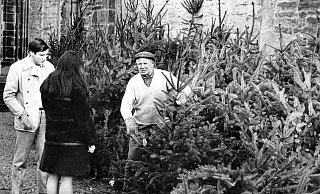 Es waren noch keine Nordmanntannen, die der Weihnachtsbaumverkäufer am fraglichen Ort den Kunden anbot. - Georg Heese (Kommunalarchiv)