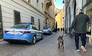 Südtirol verzichtet nun doch auf eine Art Hunde-Kurtaxe. (Archivbild) - Christoph Sator/dpa