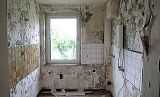 Wenn die Wohnung so aussieht, sollten Mieter schnellstmöglich einen Experten für Schimmelbefall anrufen. - Jörg Stuke