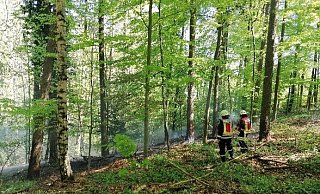 Die Spenger Feuerwehr hatte die Flammen im Spenger Katzenholz unter Kontrolle. - Feuerwehr Spenge