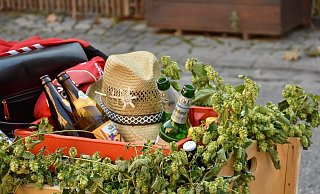 Mit dem Bollerwagen losziehen, das ist keine gute Idee (Symbolbild). - Pixabay