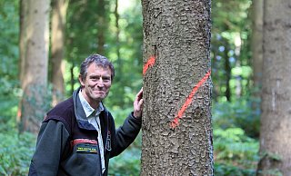 Wechsel: Förster Carsten Bölts tritt eine neue Stelle in Hameln an. Er war seit Oktober 2008 für den Stuckenberg verantwortlich. - Frank-Michael Kiel-Steinkamp