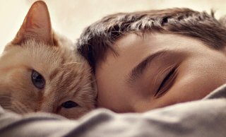 Katzen und Kinder kuscheln manchmal gerne. Will das Tier aber seine Ruhe, sollten Kinder sie auch alleine lassen. - Pixabay