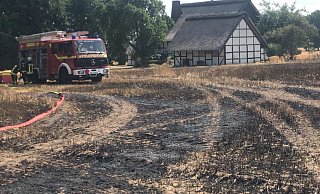 Im Borgholzhausener Ortsteil Casum brannten am Montag Felder – ein Feuer im Teutoburger Wald könnte noch viel schlimmere Folgen haben. - Anke Schneider